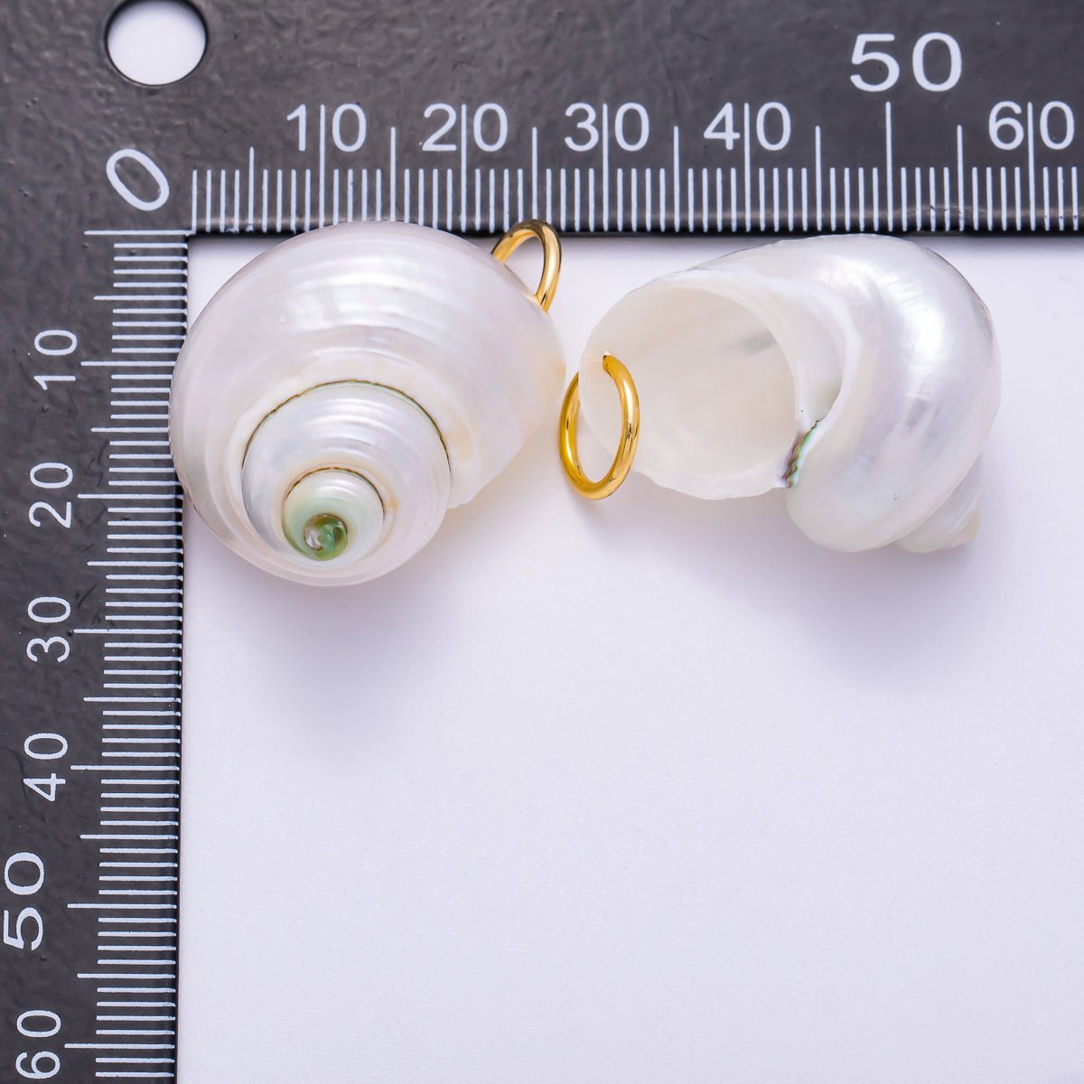 SUMMER 18K Gold Filled 31mm Freshwater Pearl Nautical Conch Sea Shell Charm | Charms - 00554 - DLUXCA
