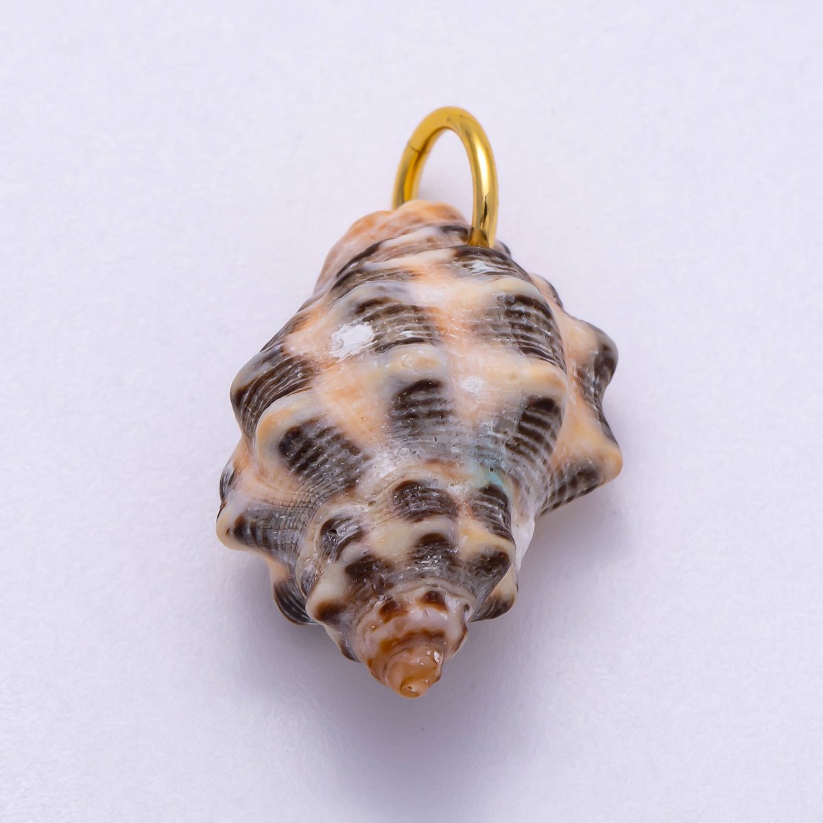 SUMMER 18K Gold Filled 31mm Natural Spotted Murex Conch Shell Charm | Charms - 00558 - DLUXCA
