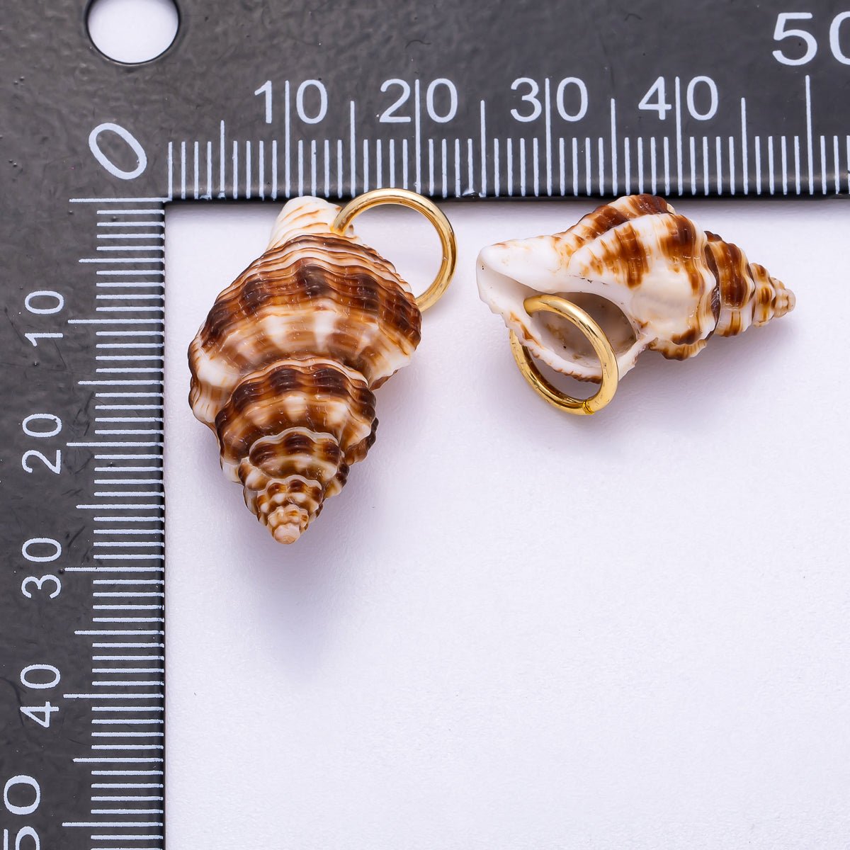 SUMMER 18K Gold Filled 33mm Natural Brown Striped Conch Shell Spiral Charm | Charms - 00557 - DLUXCA