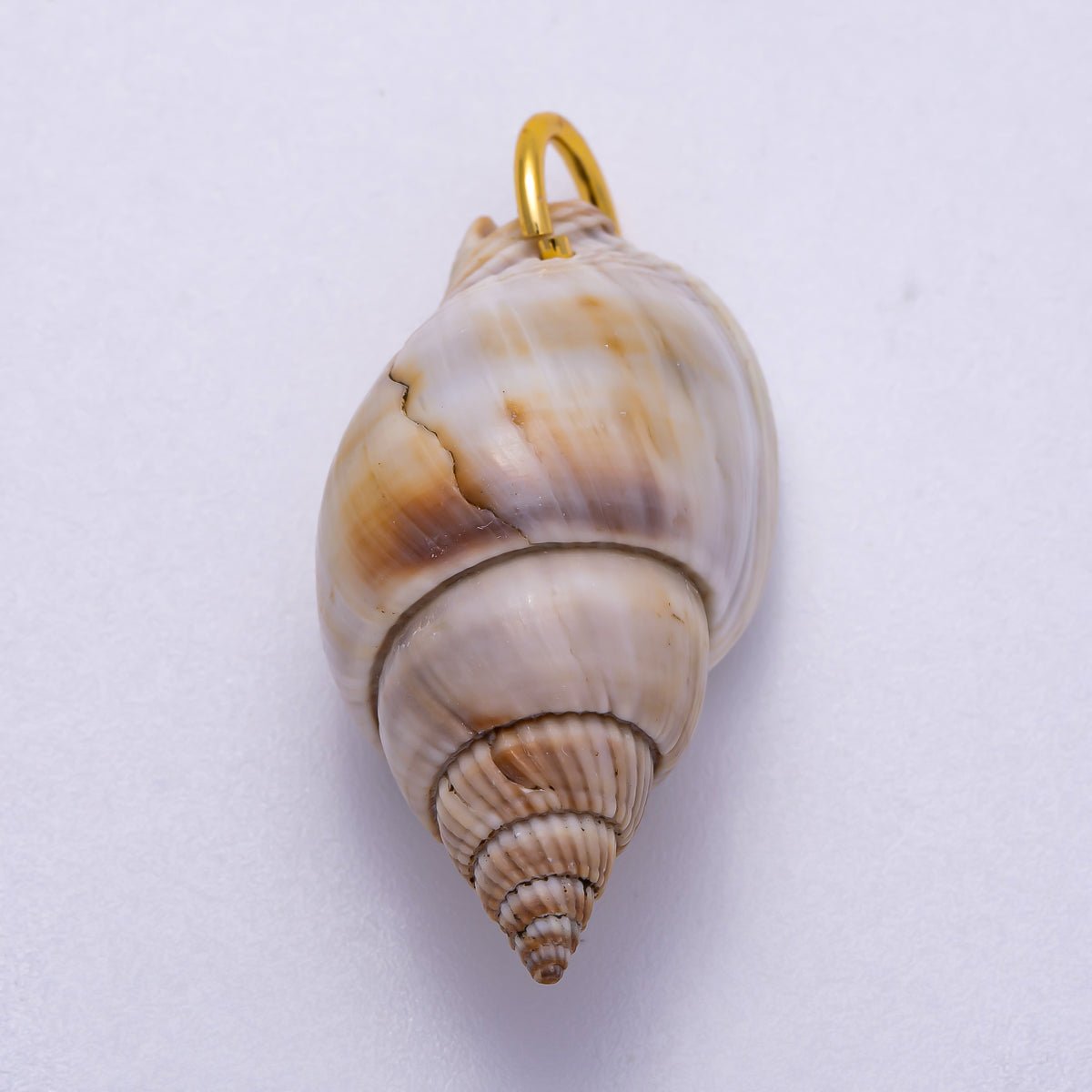SUMMER 18K Gold Filled 34mm Natural Conch Sea Shell Charm | Charms - 00555 - DLUXCA