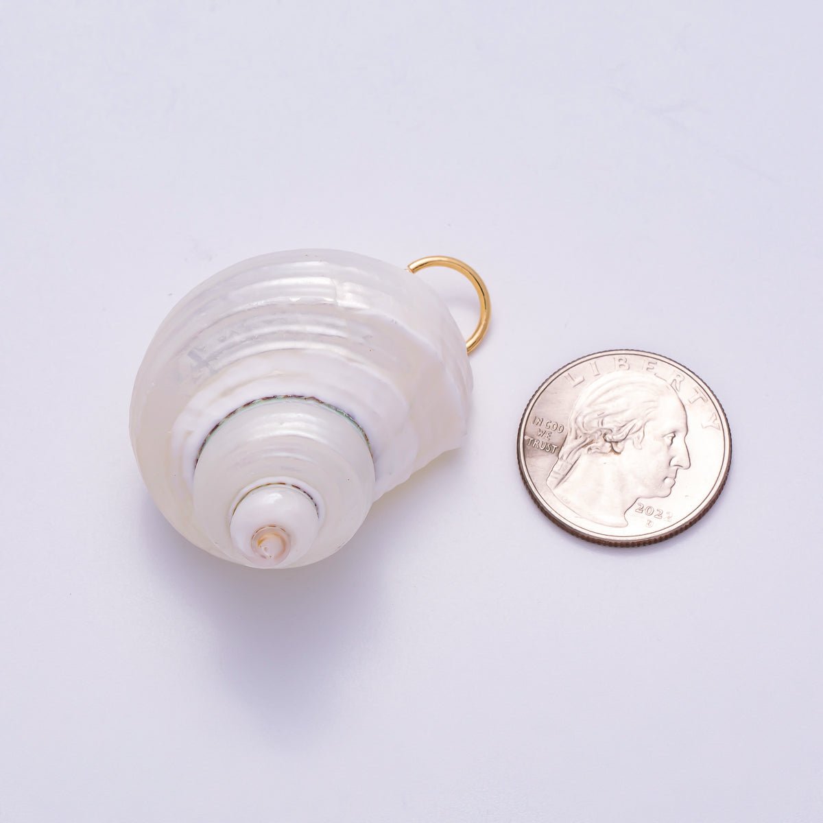 SUMMER 18K Gold Filled 48mm Freshwater Pearl Nautical Conch Sea Shell Charm | Charms - 00553 - DLUXCA
