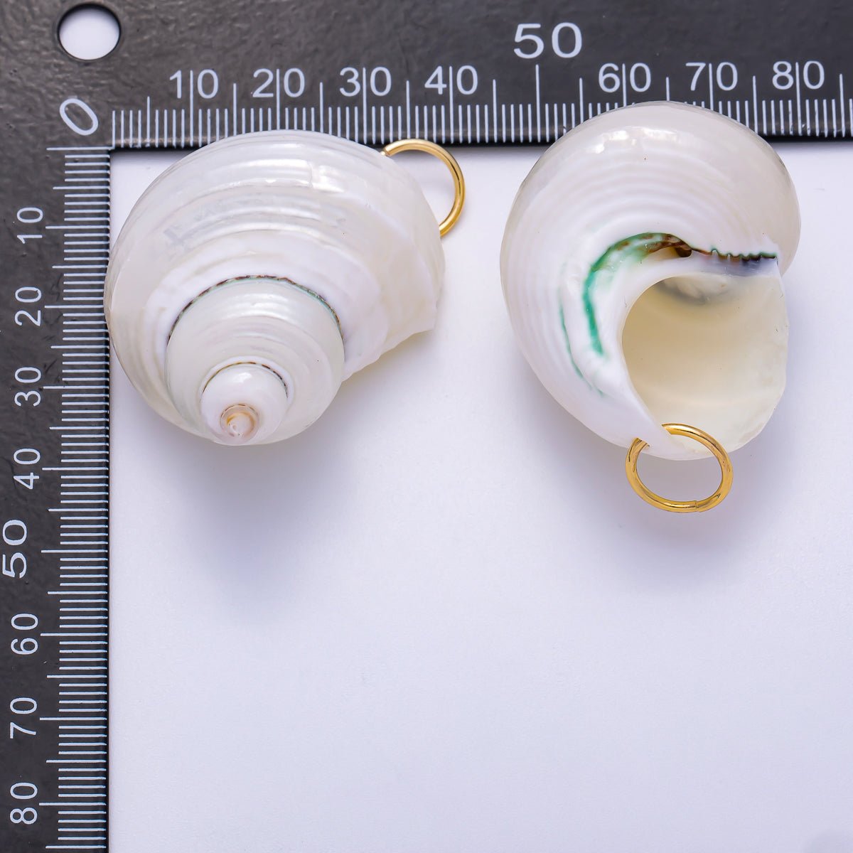 SUMMER 18K Gold Filled 48mm Freshwater Pearl Nautical Conch Sea Shell Charm | Charms - 00553 - DLUXCA