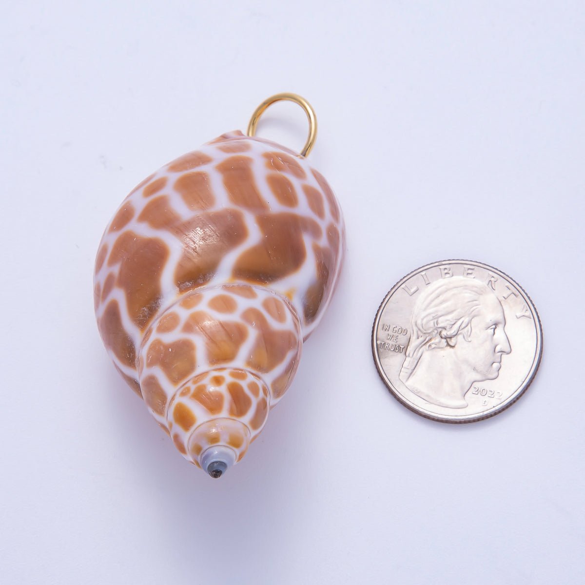 SUMMER 18K Gold Filled 52mm Natural Brown Spotted Conch Shell Pendant | Charms - 00559 - DLUXCA
