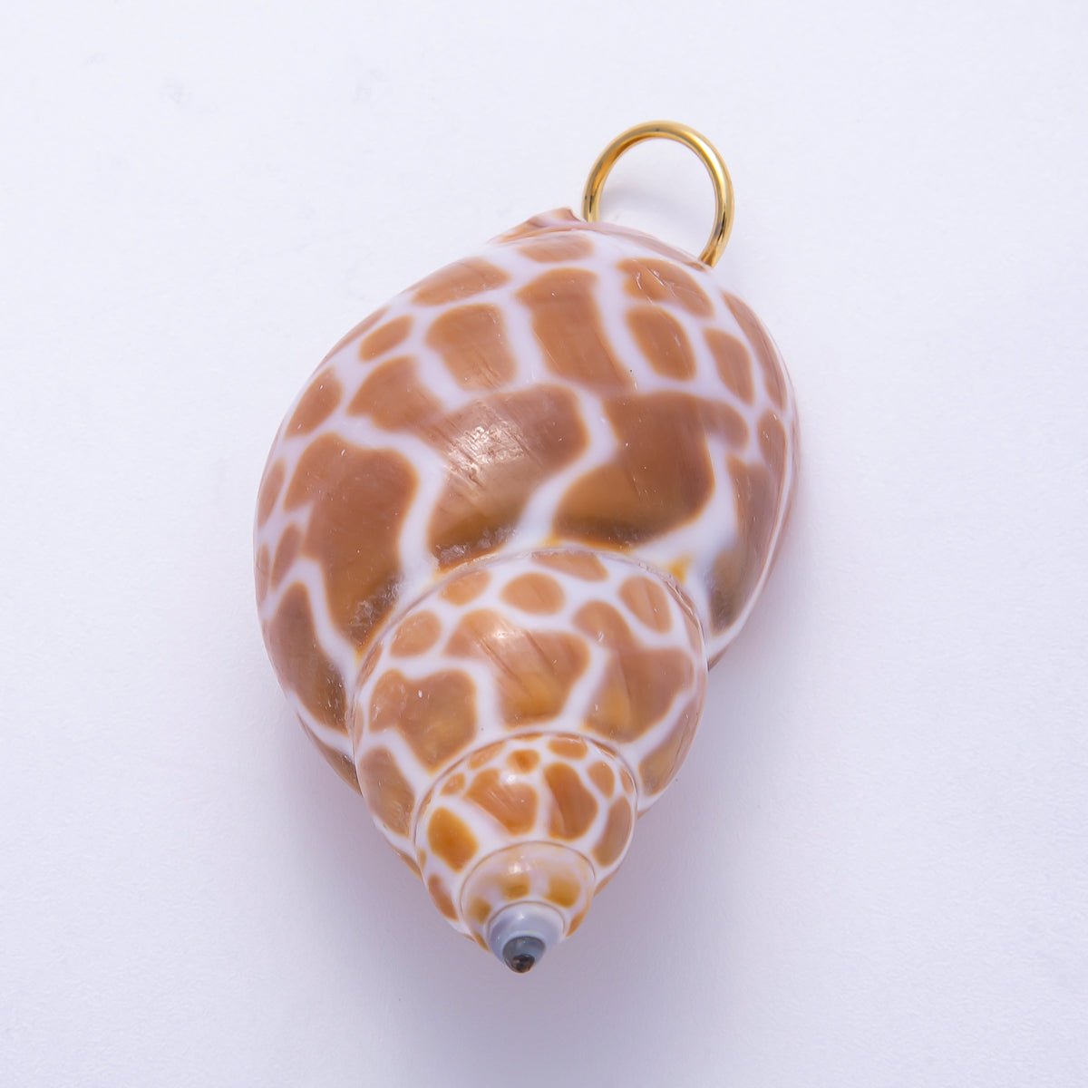 SUMMER 18K Gold Filled 52mm Natural Brown Spotted Conch Shell Pendant | Charms - 00559 - DLUXCA