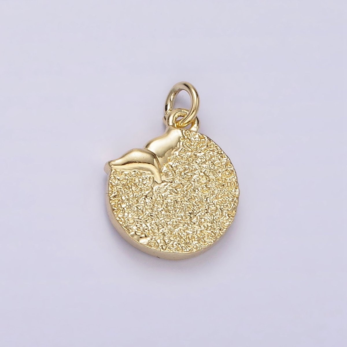 14K Gold Filled Night Star Mermaid Ocean Animal Tail Hammered Round Charm | AC904 - DLUXCA