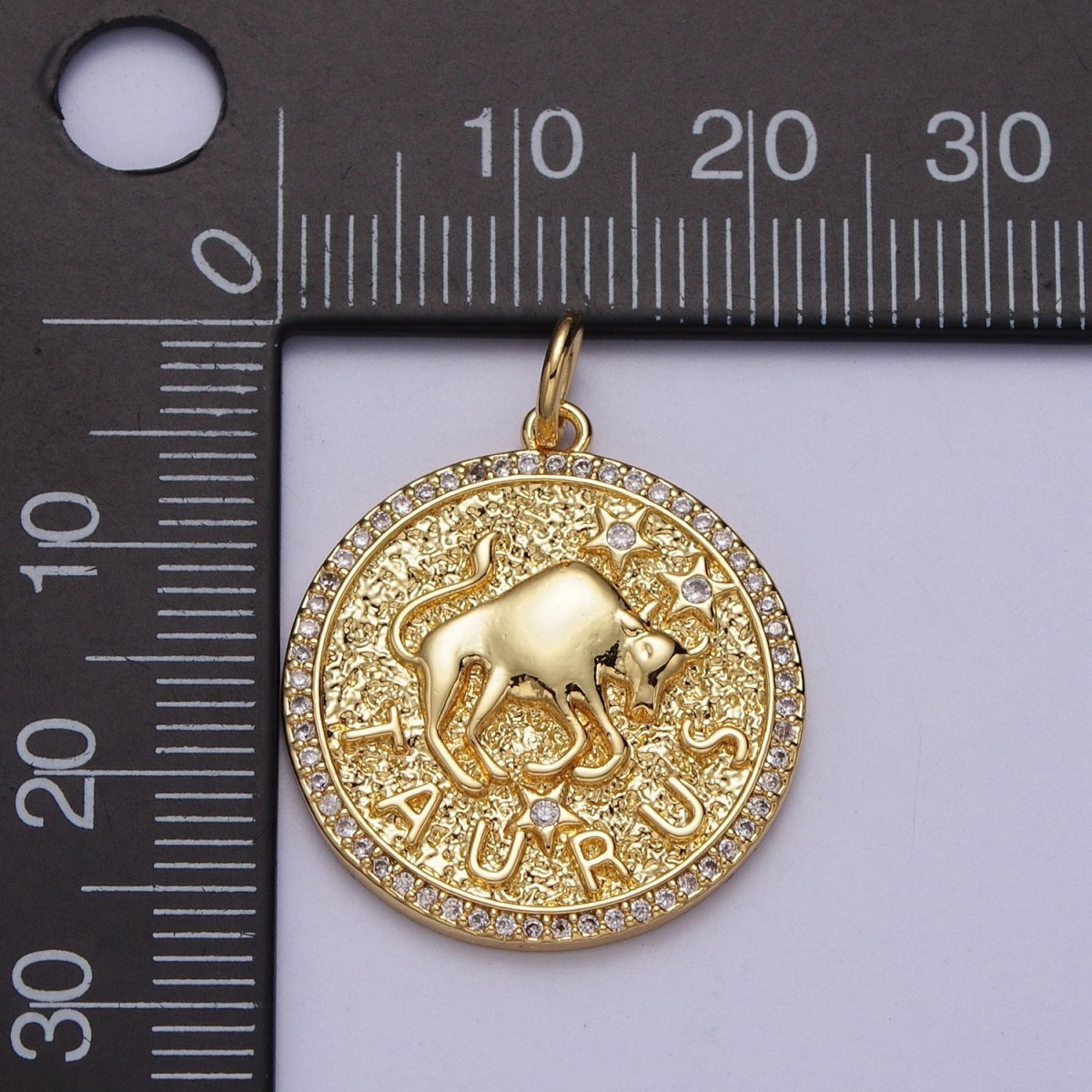 24K Gold Filled Zodiac Birth Star Hammered Round Micro Paved CZ Charm | A-456 - A-467 - DLUXCA