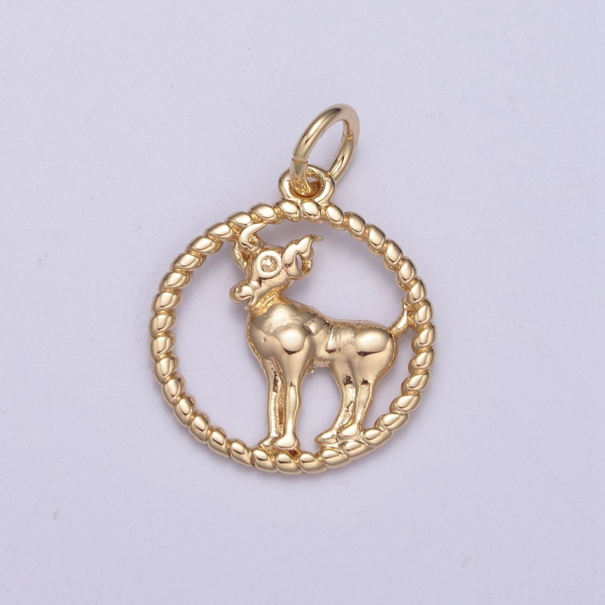 Dainty 18K Gold Filled Zodiac Horoscope Open Rope Edge Coin Charm | A-863-A-875 - DLUXCA