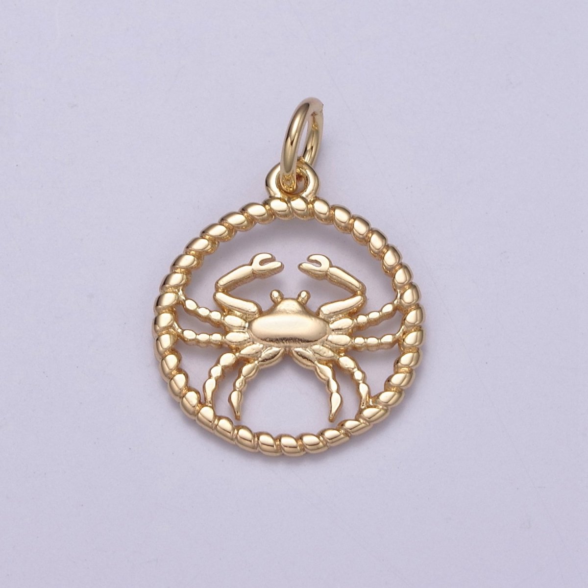 Dainty 18K Gold Filled Zodiac Horoscope Open Rope Edge Coin Charm | A-863-A-875 - DLUXCA