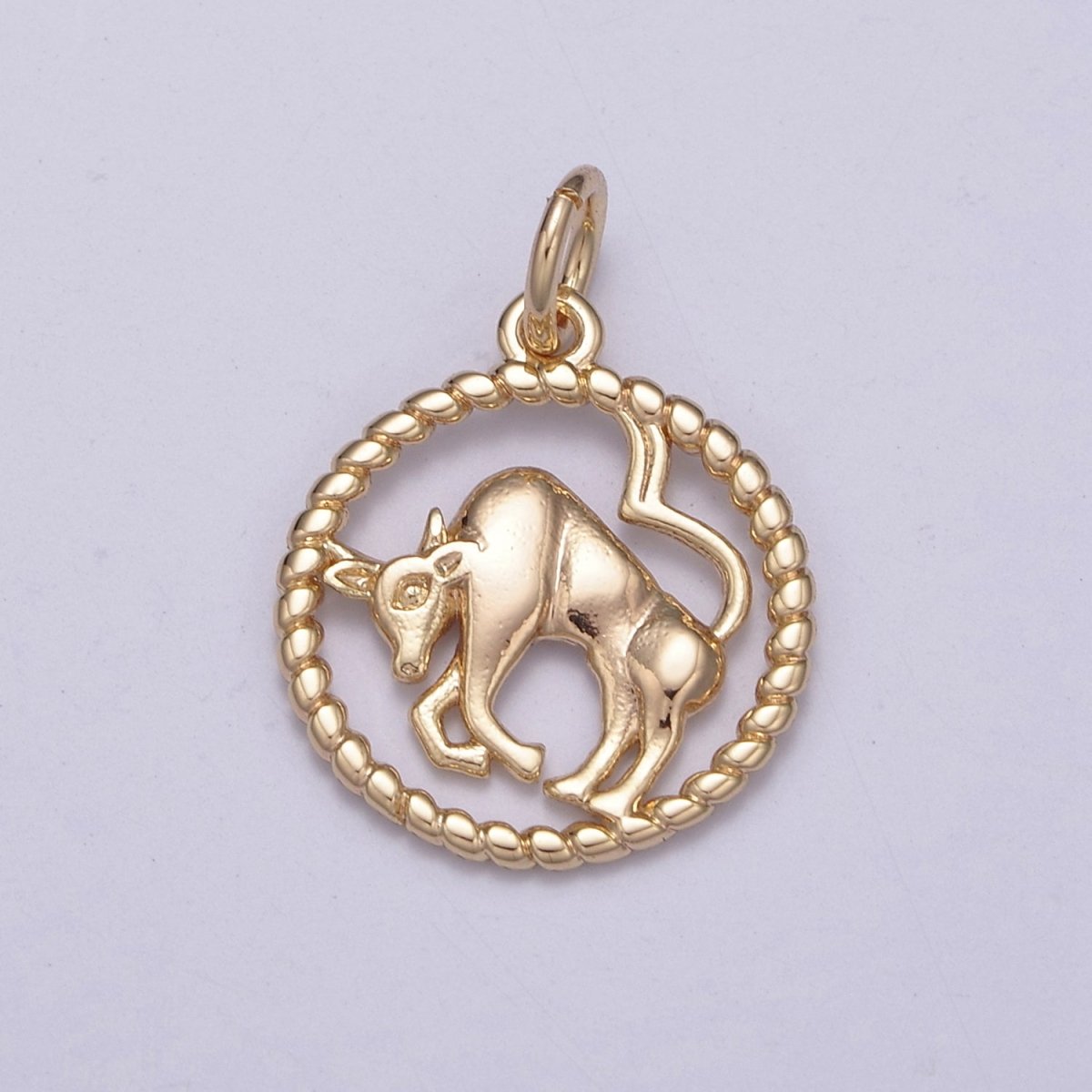 Dainty 18K Gold Filled Zodiac Horoscope Open Rope Edge Coin Charm | A-863-A-875 - DLUXCA