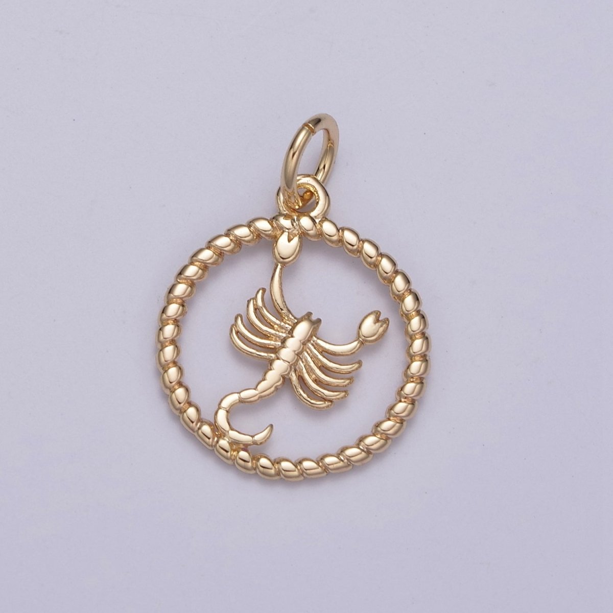 Dainty 18K Gold Filled Zodiac Horoscope Open Rope Edge Coin Charm | A-863-A-875 - DLUXCA