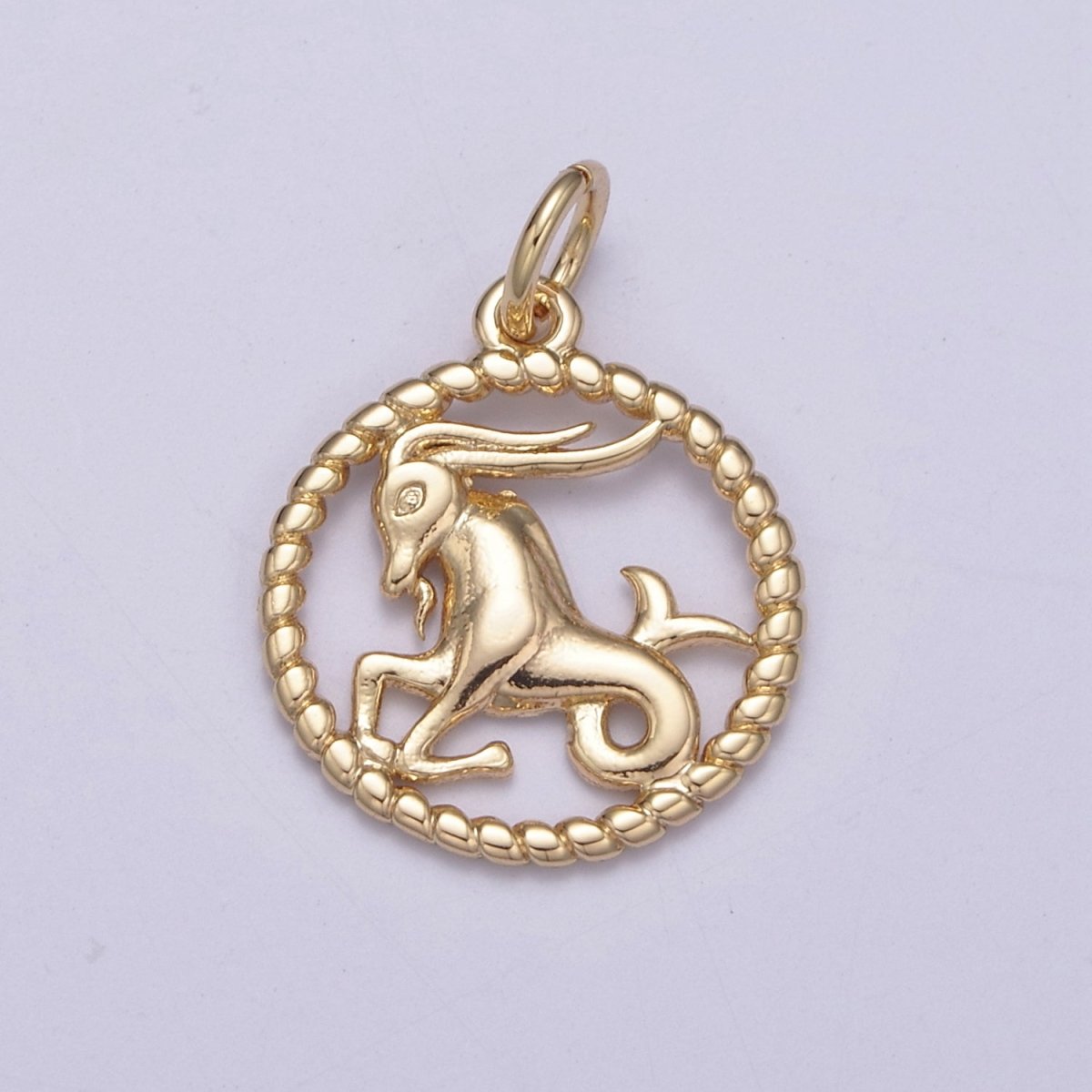 Dainty 18K Gold Filled Zodiac Horoscope Open Rope Edge Coin Charm | A-863-A-875 - DLUXCA