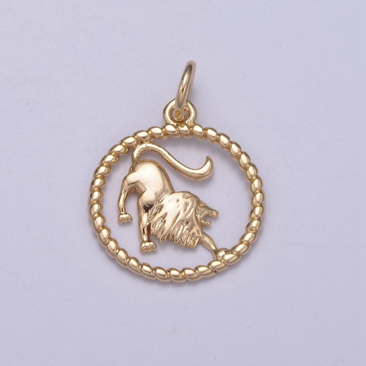 Dainty 18K Gold Filled Zodiac Horoscope Open Rope Edge Coin Charm | A-863-A-875 - DLUXCA