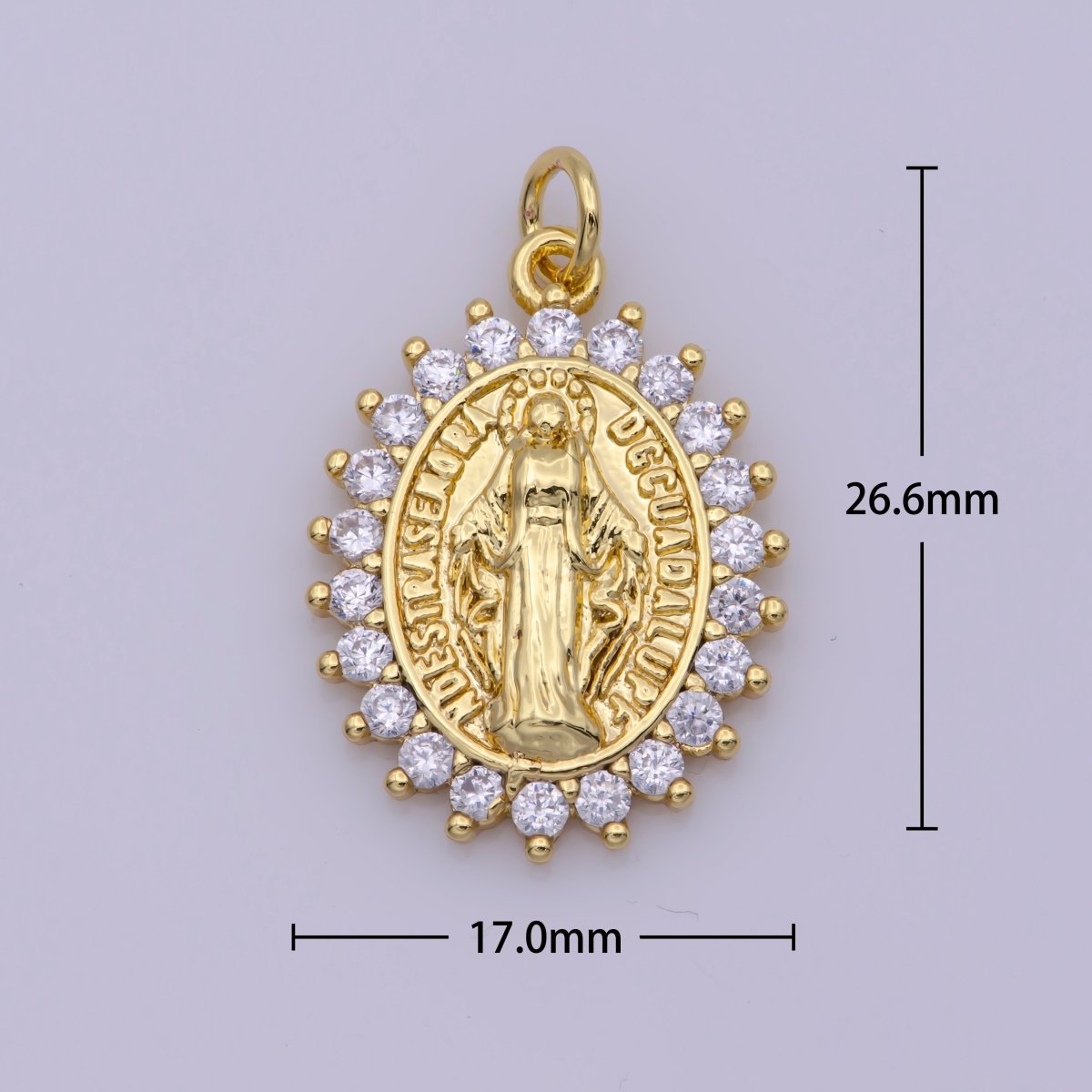 Gold Filled "Nuestra Senora Guadalupe" Miraculous Lady Oval CZ Charm in Gold & Silver | M-486 N-188 - DLUXCA