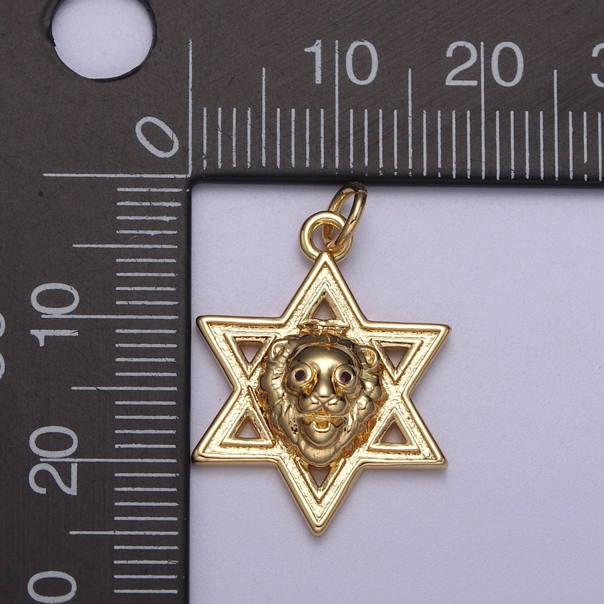 Gold Star of David Lion of Judah Pendant, Solid Magen David Jewish Star Jewelry N-340 - DLUXCA