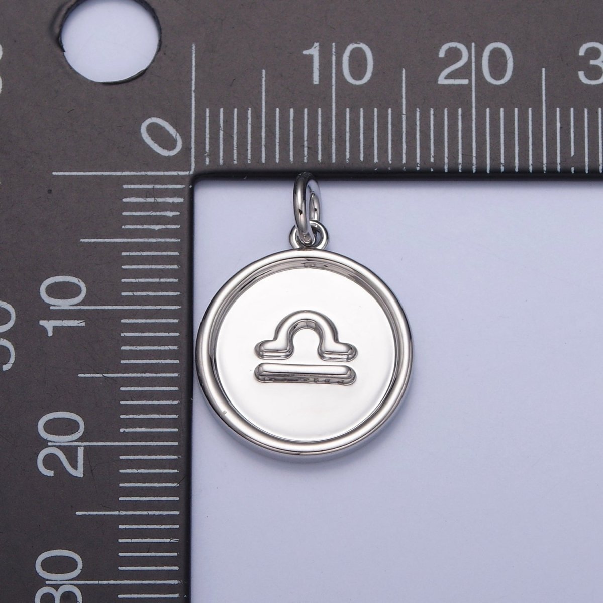 Mini Silver Coin Disc Zodiac Charm Dainty Astrological Zodiac Signs Add on Charm W-240~W-251 - DLUXCA