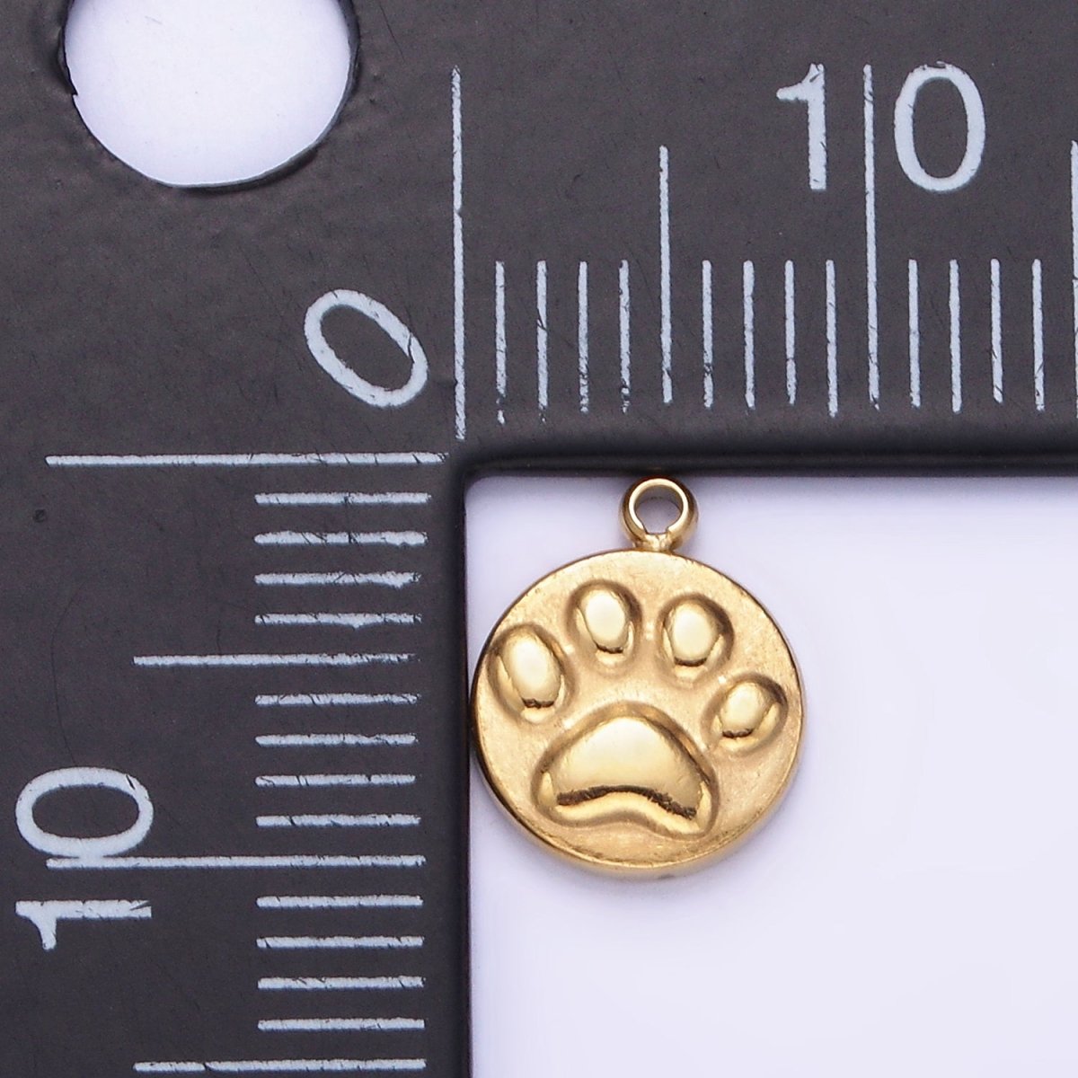 Stainless Steel 10mm Pet Pawprint Dog Round Mini Charm | P940 - DLUXCA