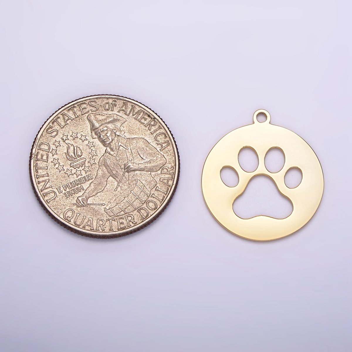 Stainless Steel 20mm Animal Pawprint Open Round Charm | P1239 - DLUXCA