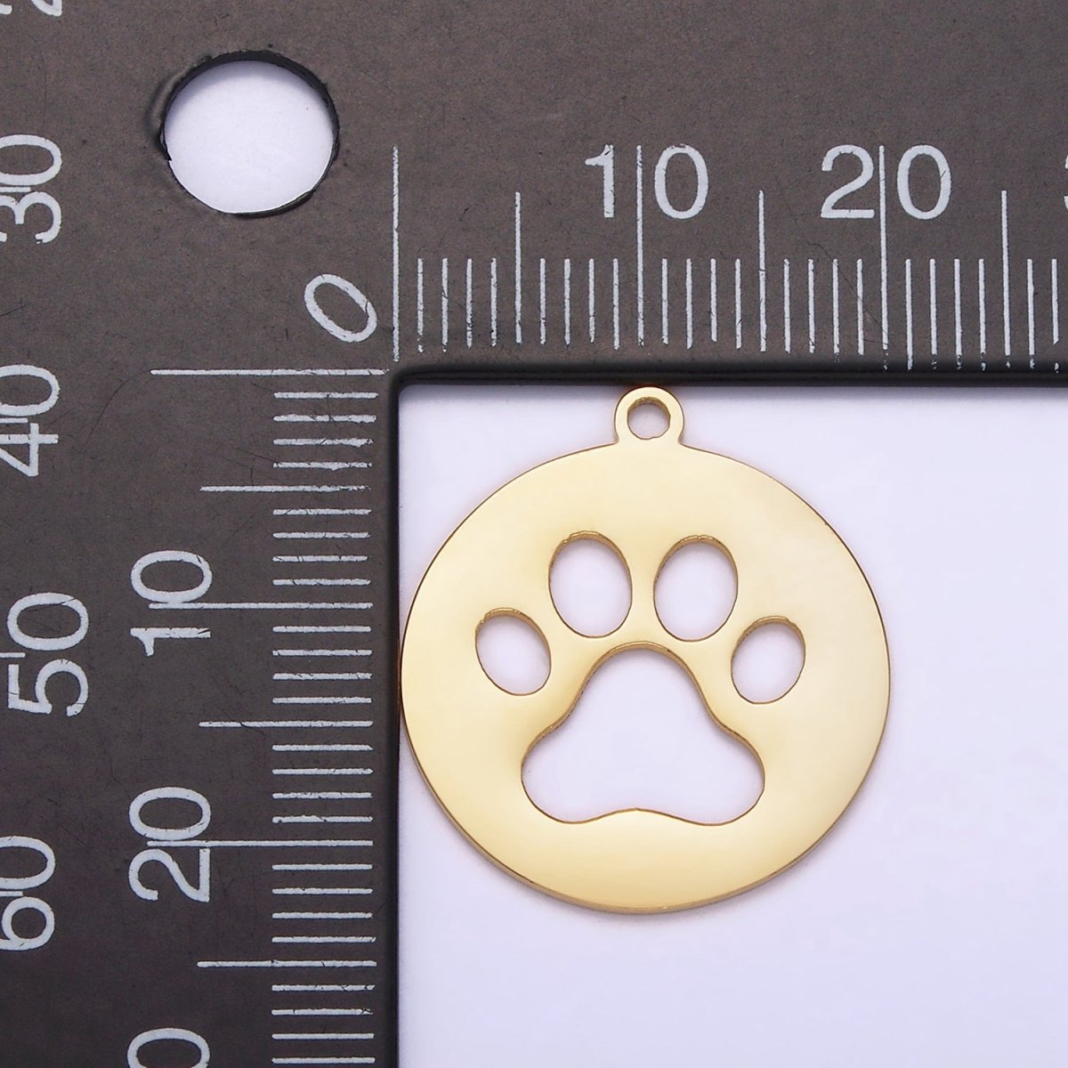 Stainless Steel 20mm Animal Pawprint Open Round Charm | P1239 - DLUXCA