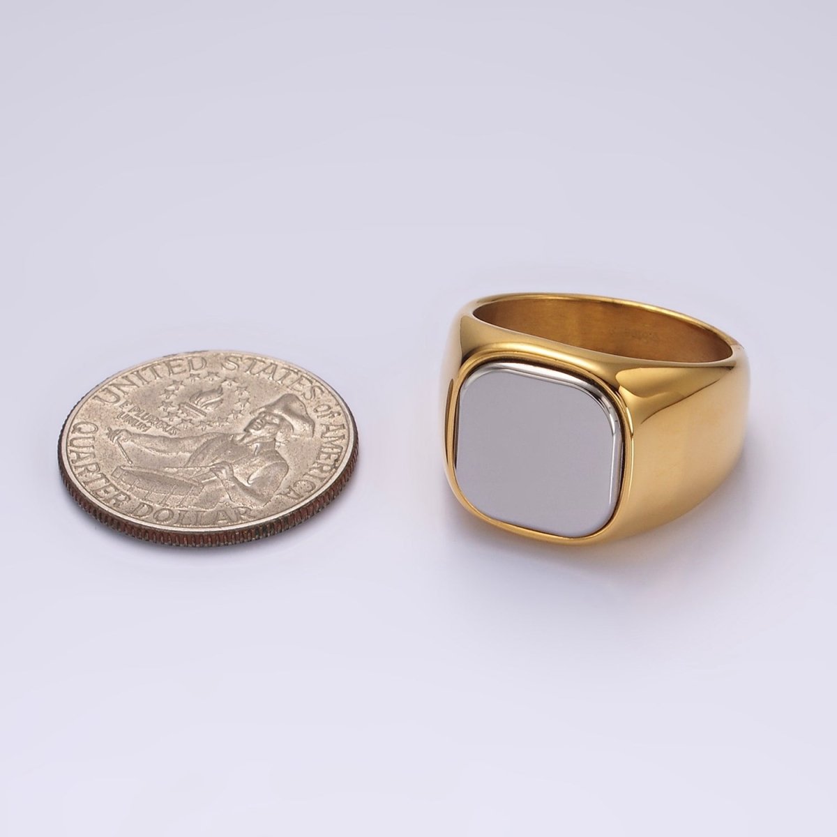 Stainless Steel Rounded Square Mixed Metal Signet Ring | O1255 - O1257 - DLUXCA