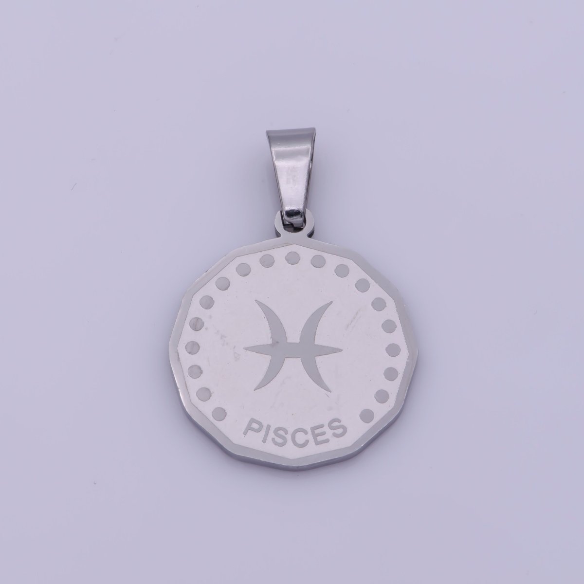 Stainless Steel Zodiac Horoscope Sign Silver Medallion Pendant | A-850-A-861 - DLUXCA