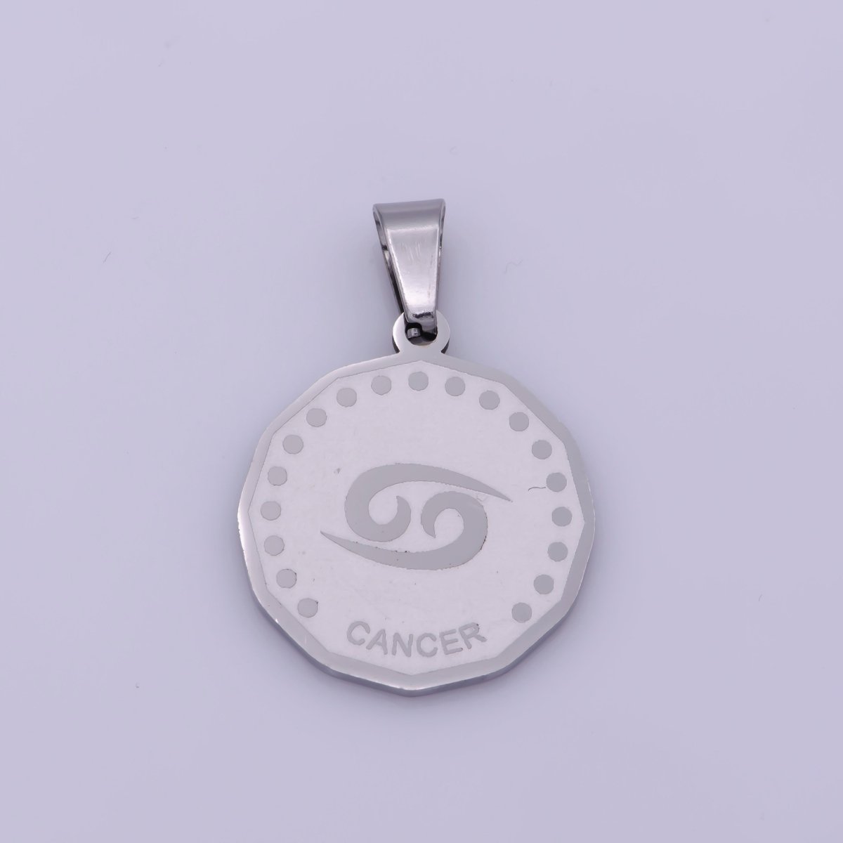 Stainless Steel Zodiac Horoscope Sign Silver Medallion Pendant | A-850-A-861 - DLUXCA